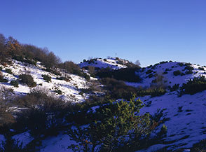 Il brullo pendio che si trova a monte di Punta Mareri.