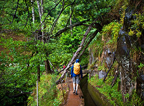 Sul sentiero di fianco alla Levada da Ribeira da Janela.