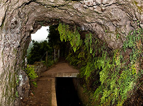All&rsquo;uscita di una galleria lungo la Levada da Ribeira da Janela.
