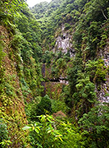 Scorcio di un lussurregiante fosso attraversato lungo la Levada da Ribeira da Janela.