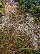 Scorcio di una parete rocciosa lungo la Levada da Ribeira da Janela.