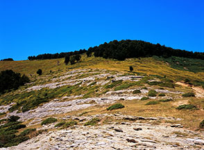 Il pendio di Colle il Campo, che pi&ugrave; in alto prende il nome di Prato Lungo.