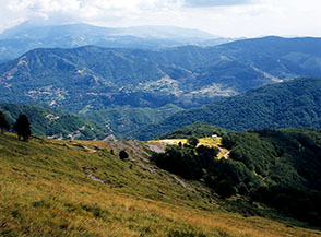 Prato Lungo e sotto la valle del Torrente Castellano.