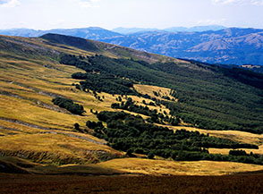 Il bosco di faggi si sparpaglia sulle praterie in localit&agrave; le Valle.