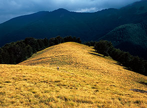 La dorata Cresta Sud-Est di Cima Fonteguidone, prima che venga inghiottita dal bosco.