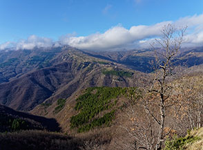 Sebbene il Monte Gorzano sia nascosto dalle nubi, la cima del Colle Pizzuto ci regala una splendida vista sulla Laga.