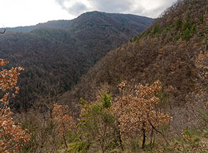 Scorcio del vasto Vallone del Rosario.