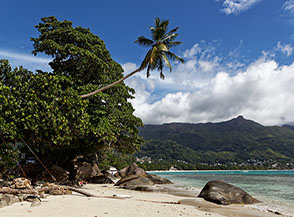Scorcio lungo la spiaggia di Beau Vallon.