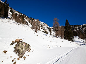 Lungo la pista che risale il fianco settetrionale della Valle di Tramin nei pressi della Seebergalmhutte.