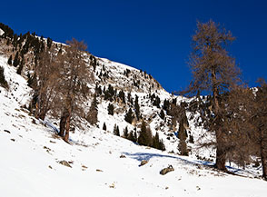 Scorcio della Valle di Tramin nei pressi della Seebergalmhutte.
