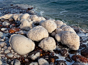 Una morsa di sale finisce per avvolgere tutte le pietre bagnate dal Mar Morto.