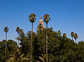 Un minareto rivaleggia con le alte palme dei guardini di Jemaa el Fna a Marrakech.