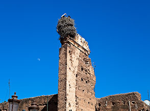 Nido fi cicogna sui bastioni che circondano la citt&agrave; vecchia (la Medina) a Marrakech.