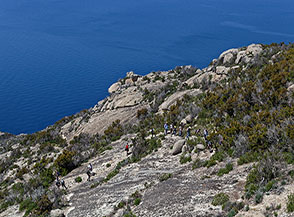 Escursionisti sui &ldquo;liscioni&ldquo; di Montecristo, grandi placche inclinate di granito.