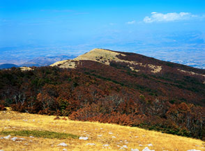 I boschi di faggi raggiungono la cresta ma lasciano scoperto Monte Ara dei Merli (da Monna della Rapanella).
