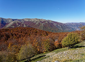 I boschi si tingono d&rsquo;autunno sulla Montagna di Preccia, sullo sfondo i monti di Montagna Grande.