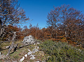 Cima della Montagna di Preccia.