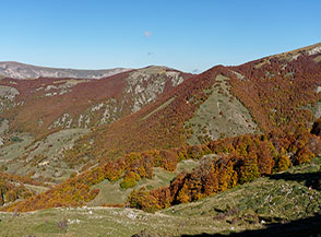 L&rsquo;Autunno esplode tutto intorno a noi sulla cresta della Serra Cavallo Morto (di fronte a noi il Bosco Murricento).