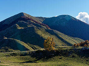 Il Monte Godi (la cima &egrave; sulla dx) ripreso da Serra Cavallo Morto.