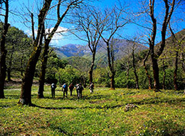 Monte Accellica Nord