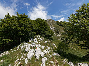 Sul filo della Cresta Nord-Ovest del Panormo in vista della cima.