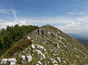 A pochi passi dalla cima del Monte Alburno o Panormo.