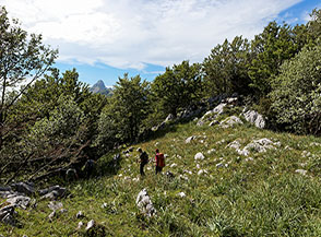 Lungo l&rsquo;articolata cresta tra il Monte Panormo e il Monte Urto.