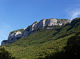 Monte Alburno/Panormo