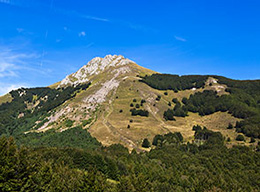 Monte Alto e Alpe di Succiso