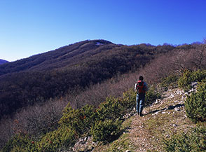 In cammino sulla Costa di Mosca Castagna verso Monte Alto.