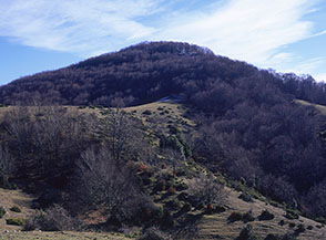 Monte di Macchia Gelata visto dal lato Ovest (Monte Rischioso).