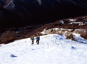 A pochi metri dalla cima sulla Cresta Sud-Ovest del Monte Altuino.