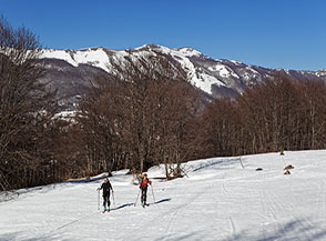 Da una radura nel bosco nei pressi di Colle della Croce con la la dorsale dei Monti del Morrone sullo sfondo.