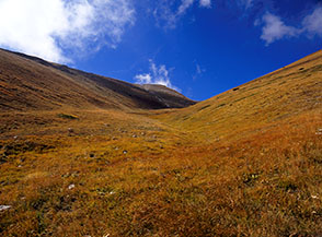 La dolce Valle dei Fontanili (tratto centrale), qui nel suo dorato abito autunnale.
