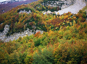 Scorcio d&rsquo; Autunno nella Valle di Macchia Lunga.