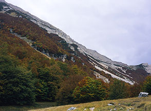 Prime radure nella Valle di Macchia Lunga.
