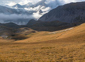 I dorati prati di Campo Pericoli.
