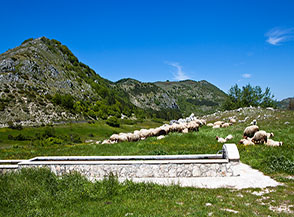 Paesaggio bucolico alla fonte del valico di la Forca (Vallecupola).