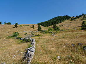 Resti di un antico recinto per armenti sui pascoli de l&rsquo;Entrata.