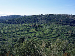 Monte Argentario