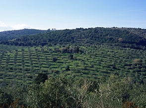 Chiesetta agreste in una tenuta dell&rsquo;Argentario.