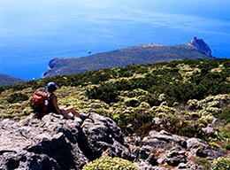 Monte Arpagna e Cala delle Cote
