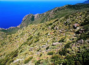 Scorcio sulla Cresta Ovest dell&rsquo;Arpagna che scende verso Punta del Trattoio.