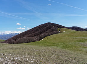 La larga cresta prativa che ci guida verso Monte Aspra.