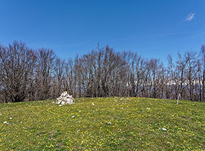 La cima di Monte Aspra brulicante di ranuncoli.
