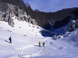 Monte Autore