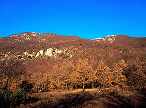 Alle pendici della montagna gli speroni rocciosi di Pechio Pizzuto segnano la fine della valle boscosa che scende da Monte Alto.