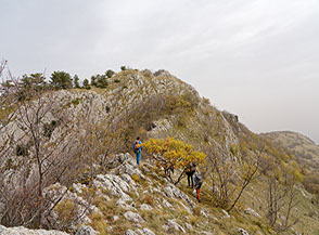 Sulla Cresta Ovest del Monte Bertona.