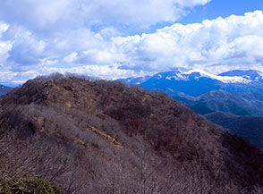 Dalla cima del Monte Bianco di Villa Latina vista sulla boscosa cima orientale.