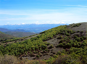 Vista all&rsquo;orizzonte sui Monti Sibillini dal valico di Forchetta Montino.